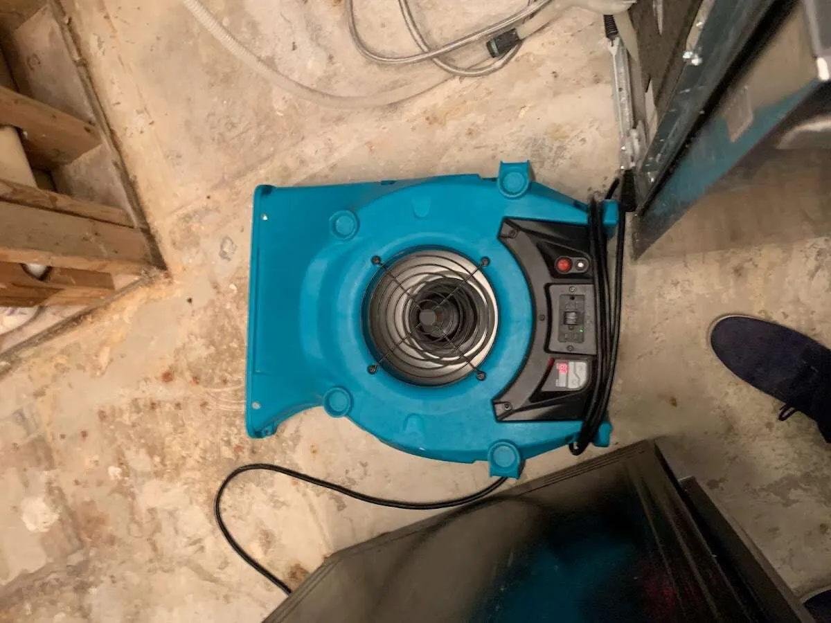 Air mover drying equipment for Mold Remediation & Removal in Girard